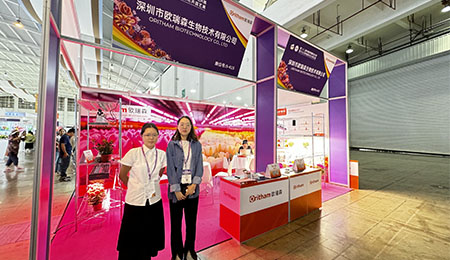 共绘花卉盛景，点亮园艺新未来 —— 第二十二届中国昆明国际花卉展圆满落幕